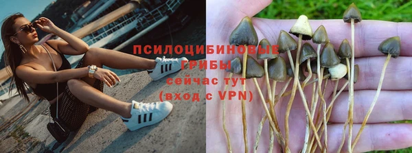 гидропоника Абаза