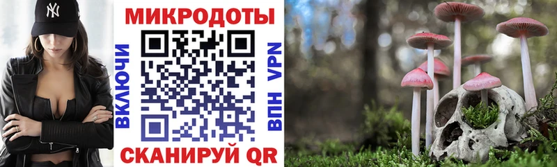 Псилоцибиновые грибы Psilocybine cubensis хочу Челябинск